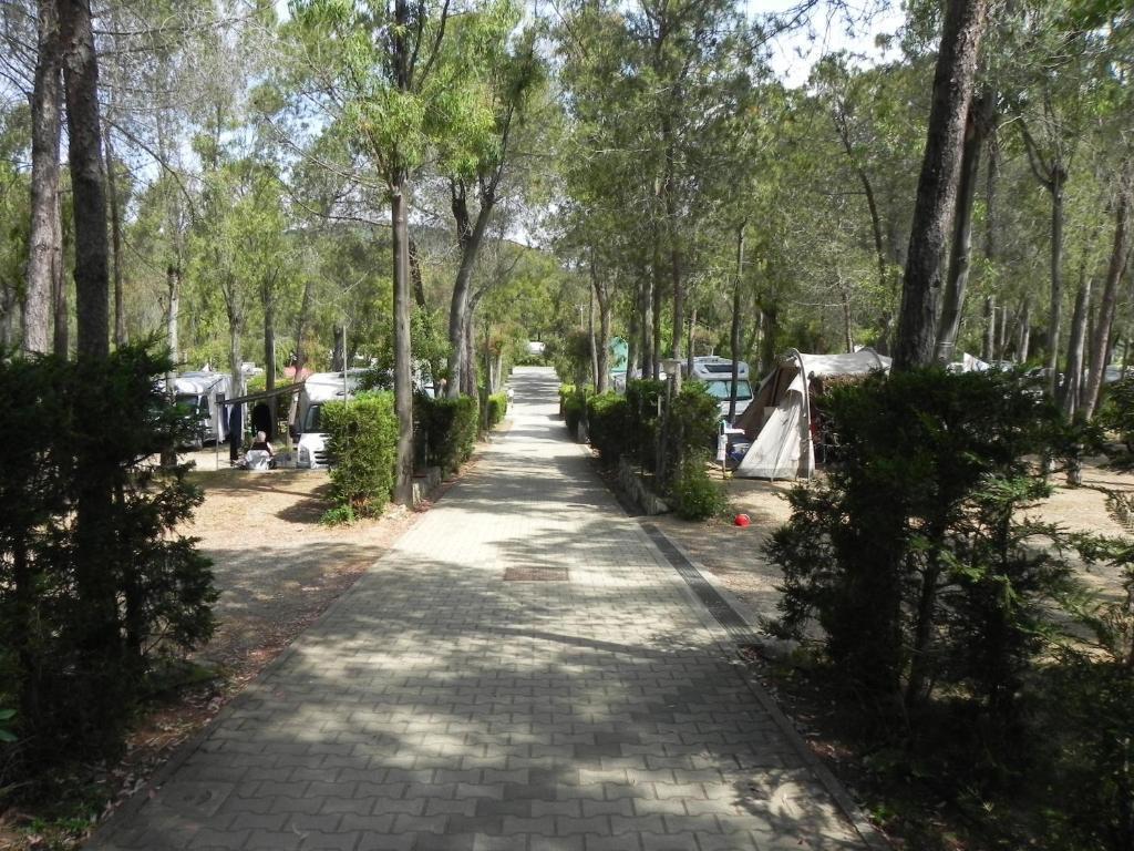 Camping Lacona Capoliveri  Εξωτερικό φωτογραφία