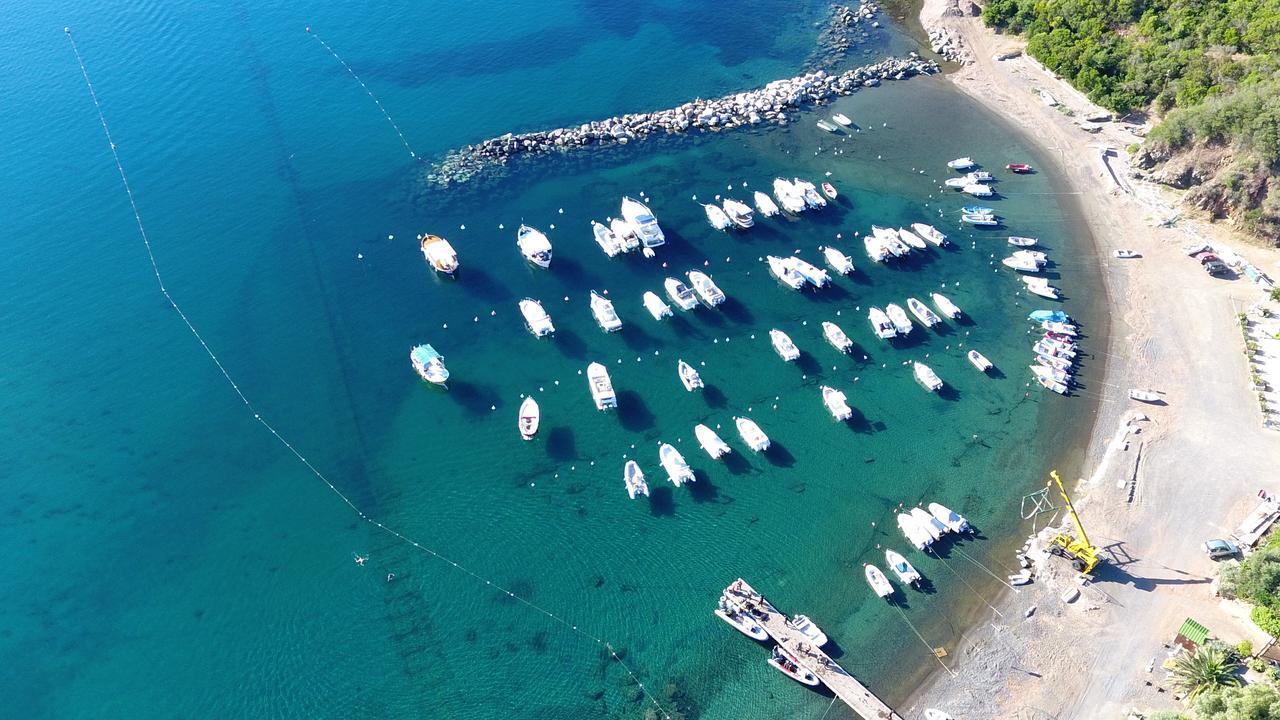 Camping Lacona Capoliveri  Εξωτερικό φωτογραφία